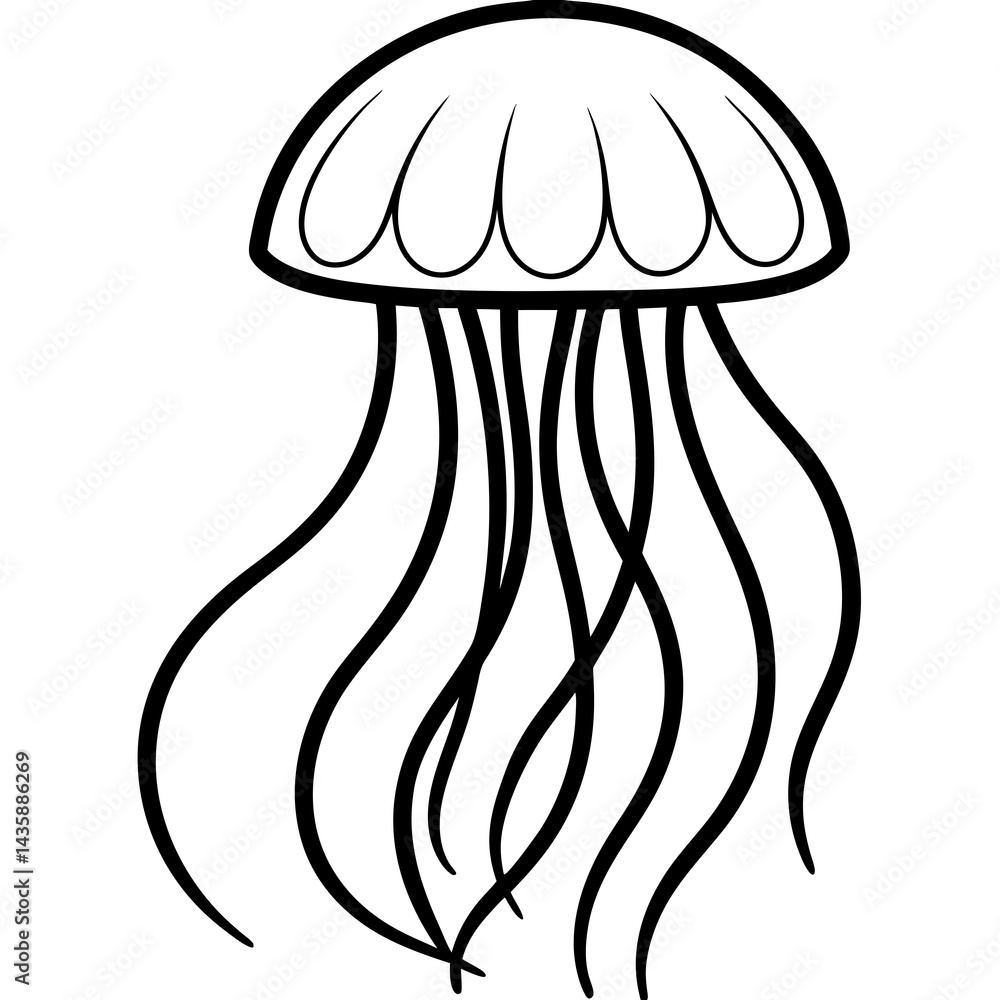 Elegant Jellyfish Lines Elegant Jellyfish Lines