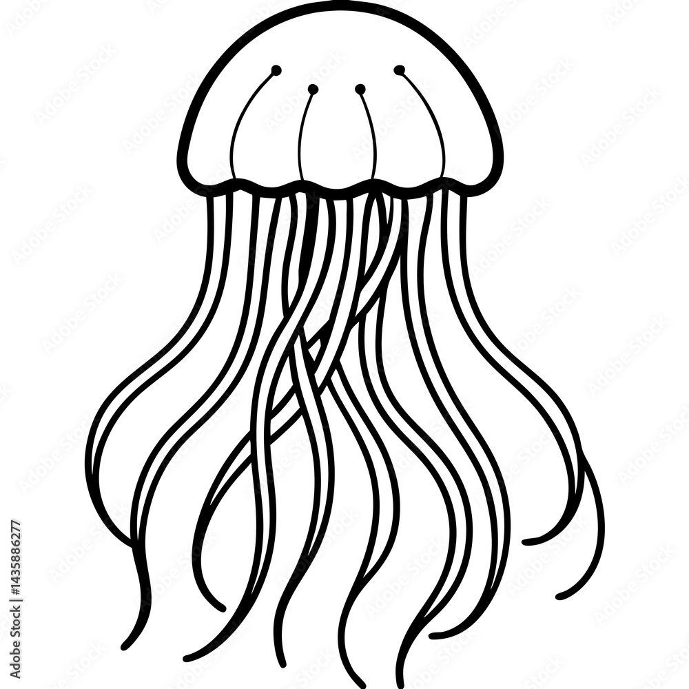 Elegant Jellyfish Lines Elegant Jellyfish Lines