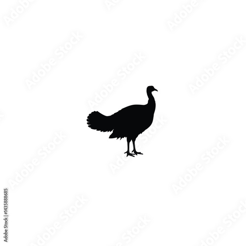 Turkey farm animal silhouette on white background