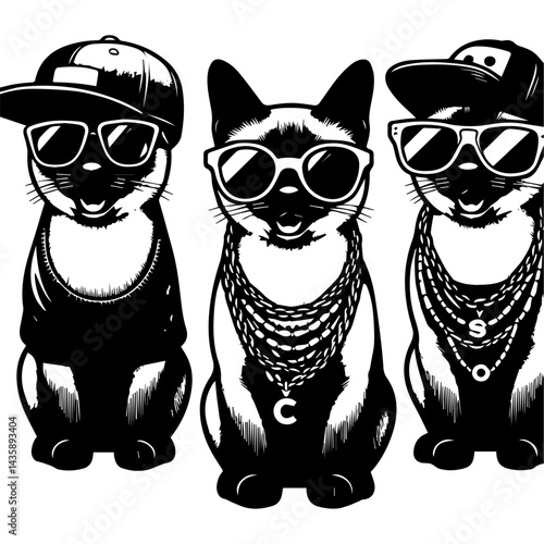 Stylish cat wearing a rapper's outfit, sunglasses, and bling. A black and white graphic illustration of a cat dressed in a trendy, hip-hop inspired outfit.