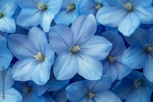 name : seamless soft bluebell carpet, enchanting macro detail,