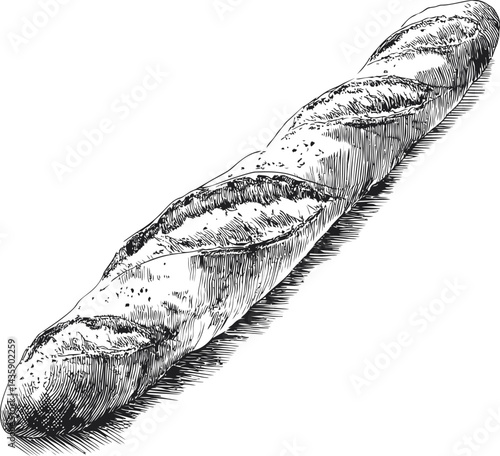 A detailed black and white sketch of a traditional french baguette bread. Vector illustration