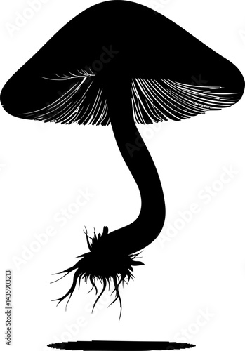 Silhouette of a mushroom with detailed gills and roots. Vector illustration