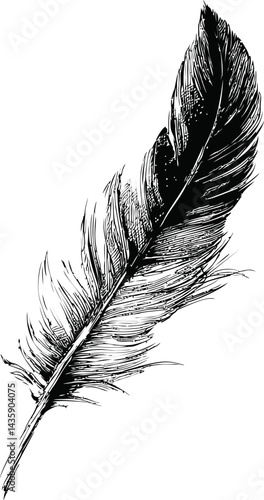 Monochrome illustration of feather with detailed lines, artistic concept. Vector illustration
