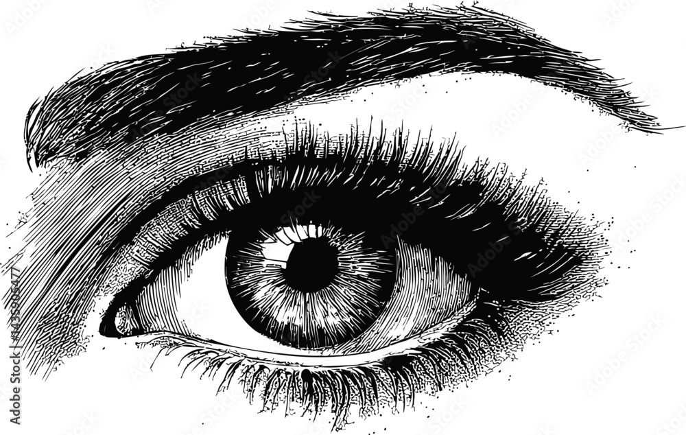 Obraz premium Detailed black and white sketch of a human eye with intricate shading. Vector illustration