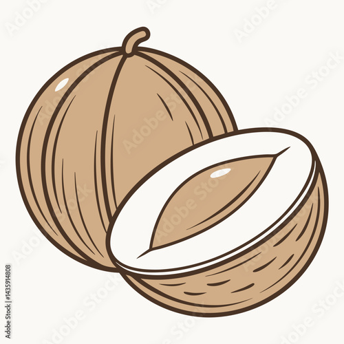Coconut Illustration