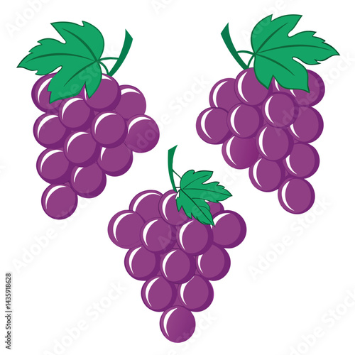 Three bunches of purple grapes with leaves