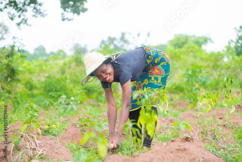 female african farming working on her farm, using a hoe to weed