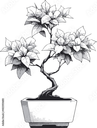 Bougainvillea Bonsai Tree Vector. Elegant Monochrome Bonsai Tree Illustration