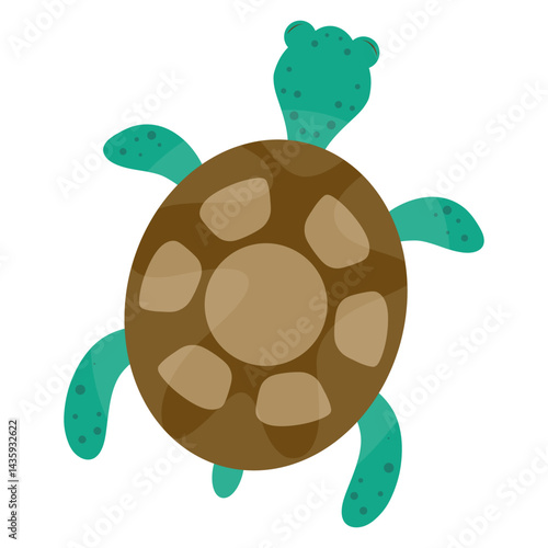 Cute turtle top view vector illustration, hand drawn cartoon green turtle for cards, designs, postcards, icons, etc