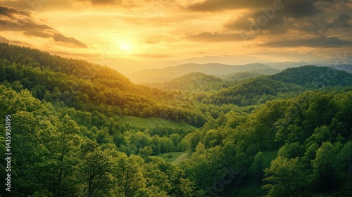 lush green forest covering rolling hills, with the golden sunrise casting a warm glow.