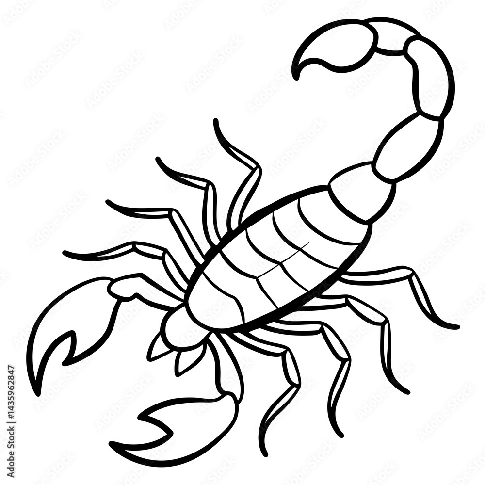 Fototapeta premium Stylized Scorpion Line Illustration