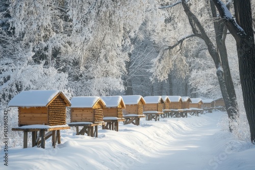 Obraz na płótnie Wooden beehives stand in a row, covered with snow in a winter forest. Perfect for illustrating bee keeping, winter, or nature scenes. w salonie