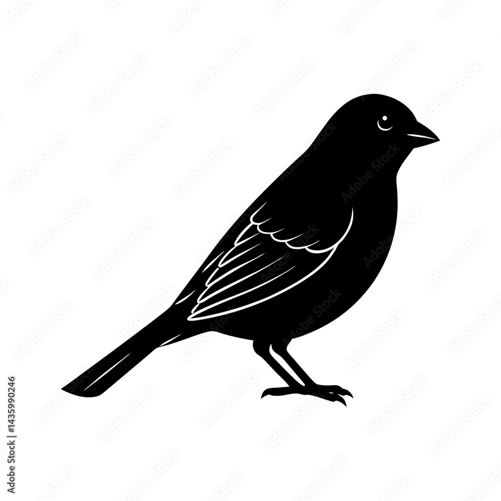 Obraz premium Finch Silhouette vector illustration