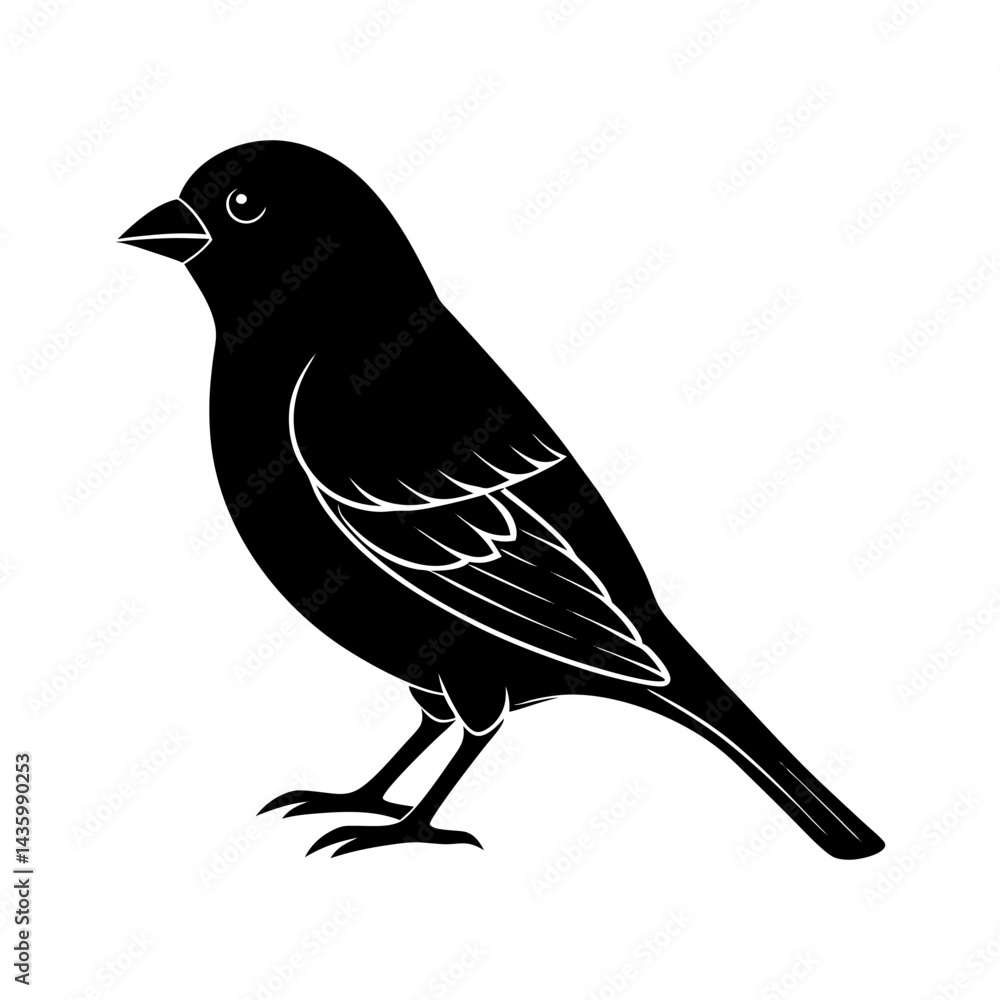 Obraz premium Finch Silhouette vector illustration