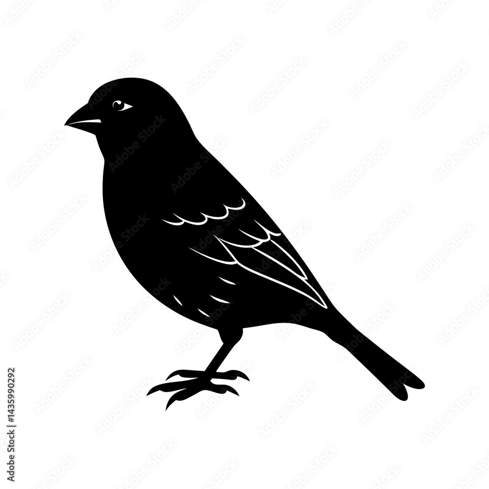 Obraz premium Finch Silhouette vector illustration