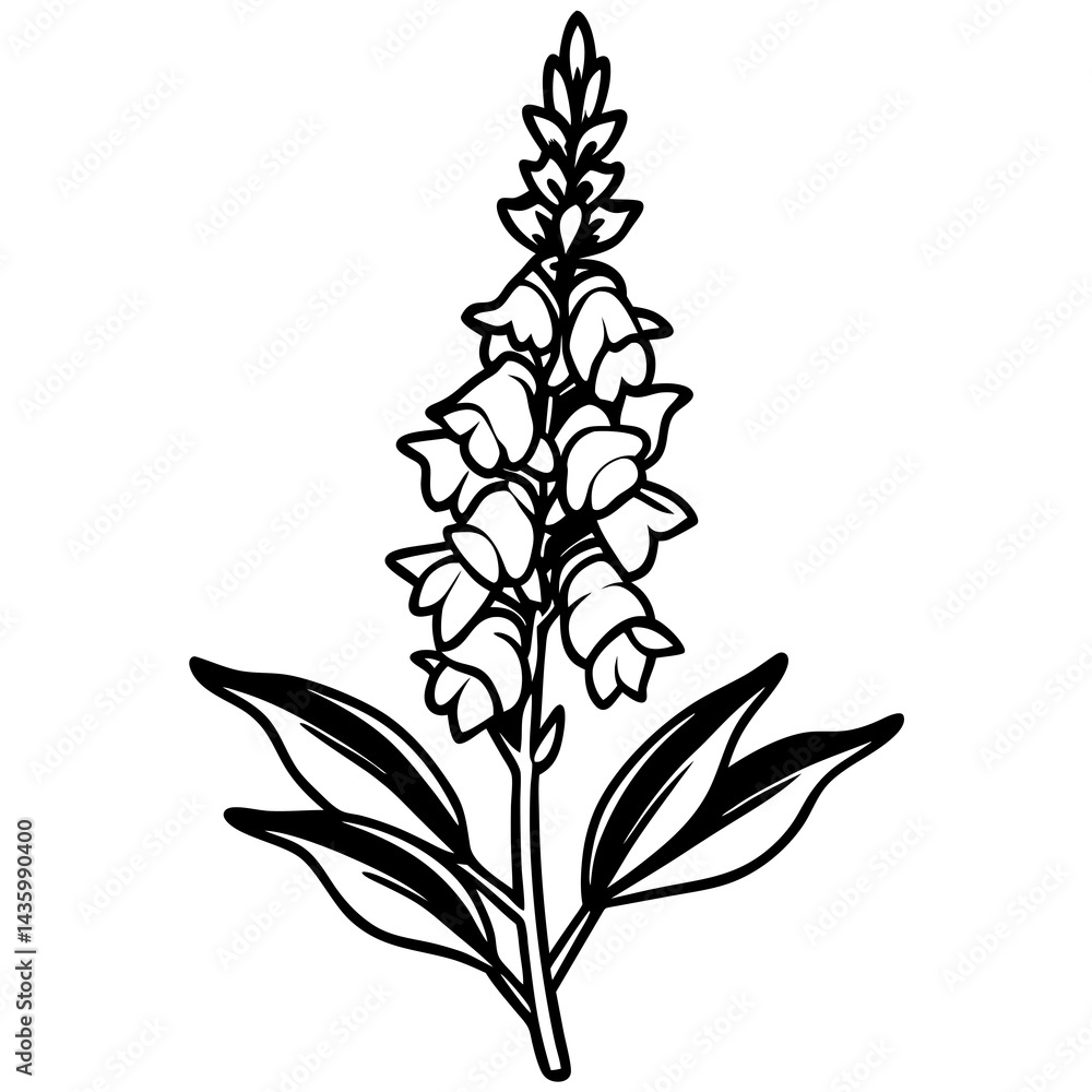 Fototapeta premium Minimal Snapdragon Vector on White