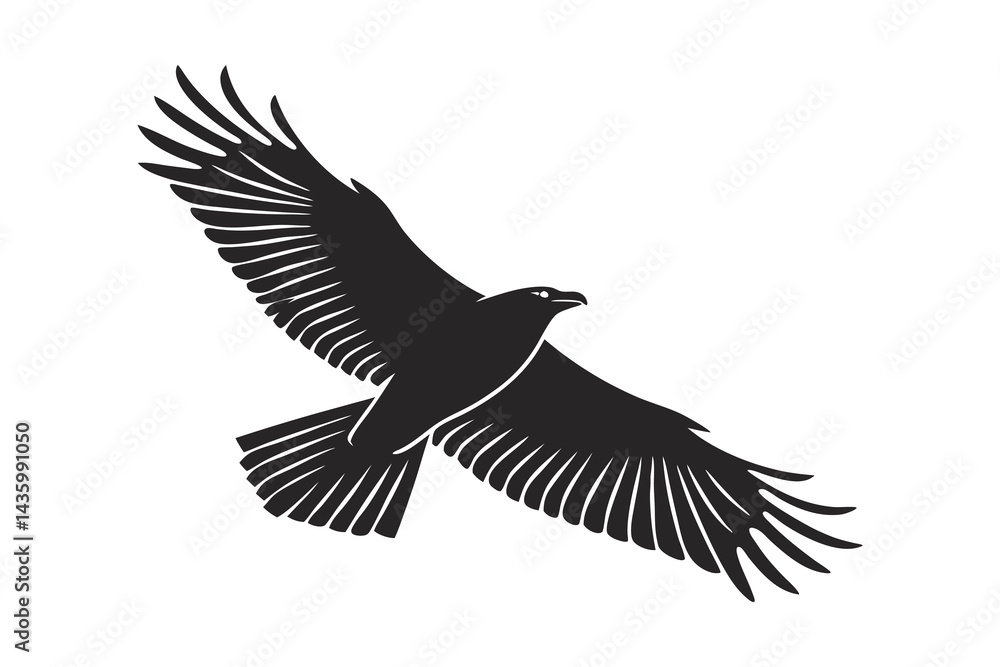 Fototapeta premium Graceful raven with outstretched wings, vector image on a white background