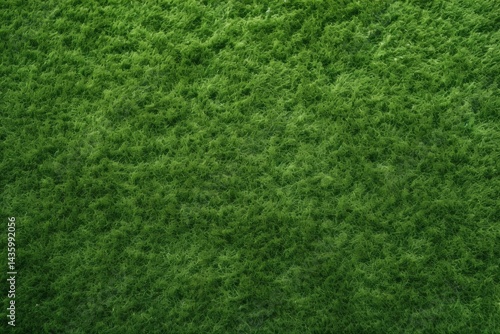 Wallpaper Mural Close-up of a lush, green, textured surface resembling short grass or felt. Torontodigital.ca