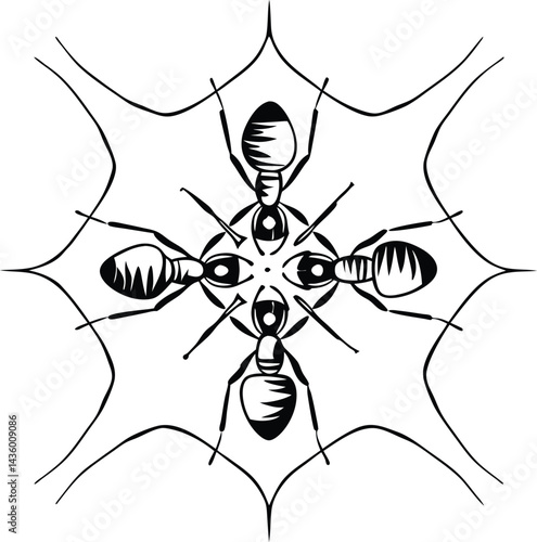spider and web
