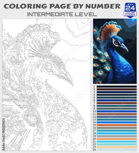 Elegant Peacock Coloring Page by Number | Printable Intermediate Wildlife Scene