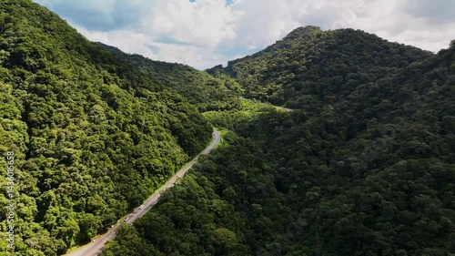 Winding road through lush mountain forests. Breathtaking aerial views of nature's embrace. Scenic drive captured by drone.