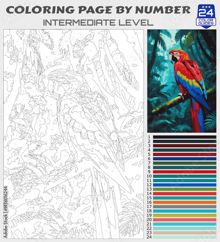 Vibrant Macaw in Rainforest Coloring Page by Number | Printable Intermediate Tropical Wildlife Scene