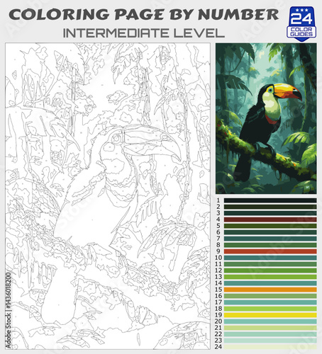 Toucan in Rainforest Coloring Page by Number | Printable Intermediate Tropical Wildlife Scene