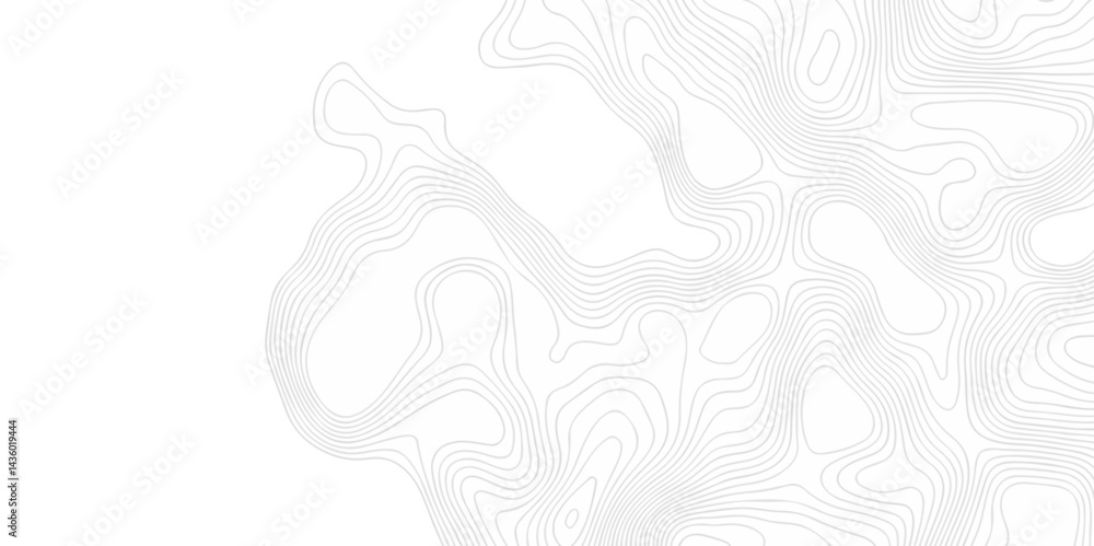 Fototapeta premium The patter discovery vector topo map creative discovery White wave grid stripe line map topography. vector geographic contour mounted map background. 