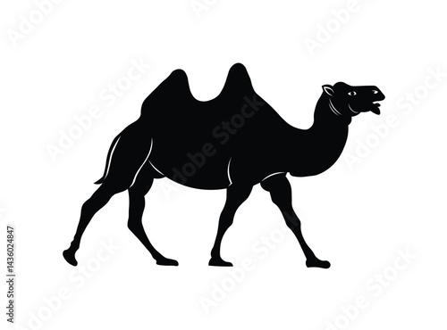 camel on the beach