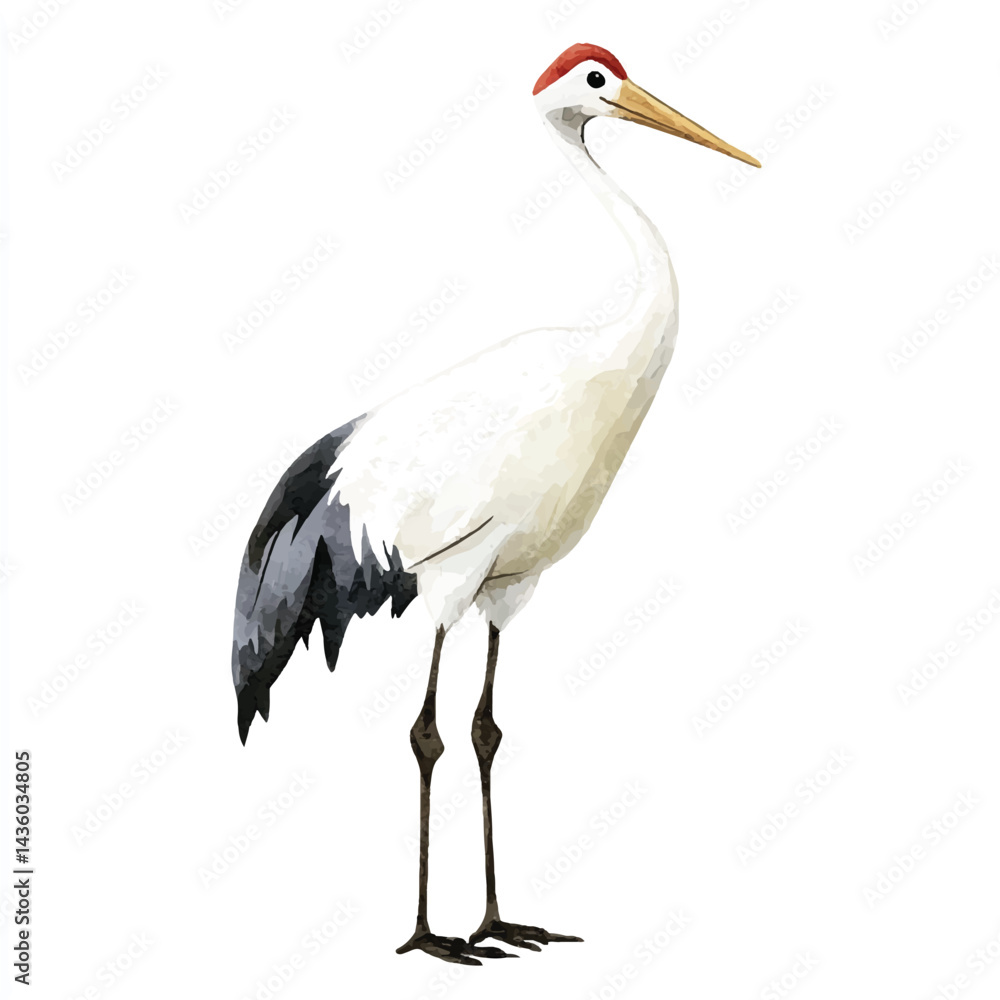 A Crane simple cartoon drawing watercolor icon model A Crane simple cartoon drawing watercolor icon model