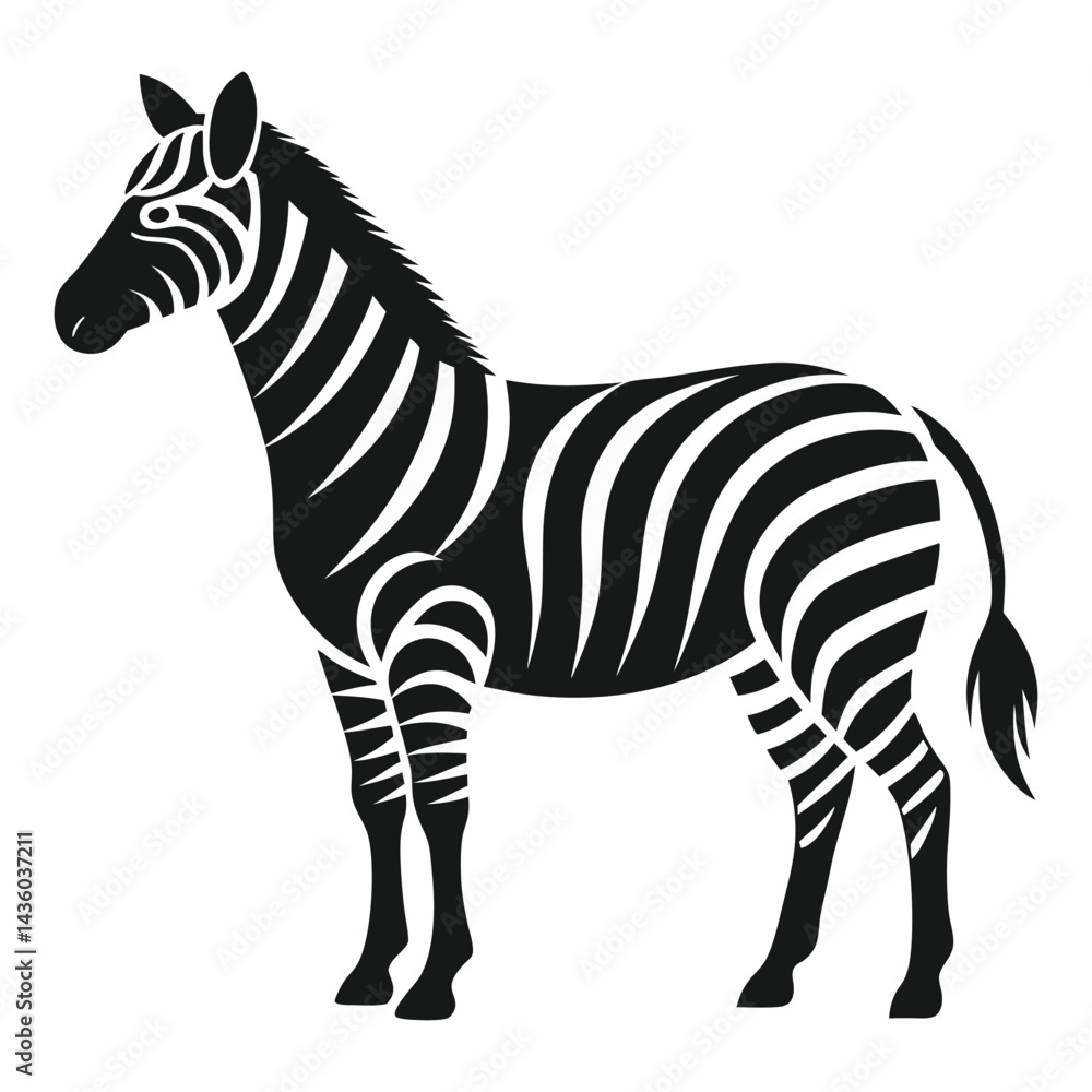 Obraz premium Zebra