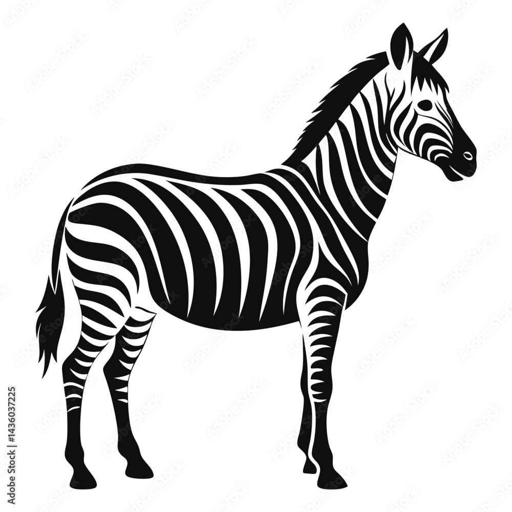 Obraz premium Zebra