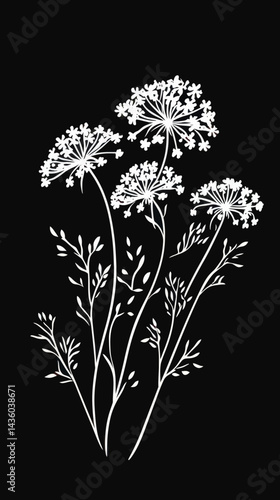 Minimalist Queen Anne's Lace Vector SVG for Cutting and Printing Designs