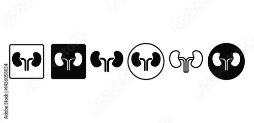 Black and White Kidney Icons Medical Health Organ Symbols Vector Design