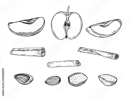 Apple slices, almond and cinnamon sticks set line art black ink sketch. Food ingredients monochrome illustration. Aromatic seasoning for healthy eating, making pies, dessert and drinks design