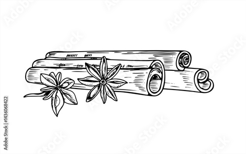 Monochrome cinnamon sticks and star anises vector outline illustration painted by black inks. Healthy spice ingredients pile sketch for the design of winter beverage, cards, advertising posters