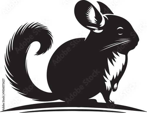 Chinchilla black vector and silhouette
