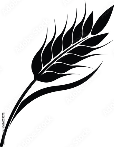  wheat ear silhouette, Ear of Wheat, Barley or Rye, Vector icon isolated on white background