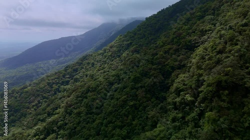 Serene river winding through green mountain valleys. Lush vegetation blankets the landscape. Peaceful flight over nature's beauty