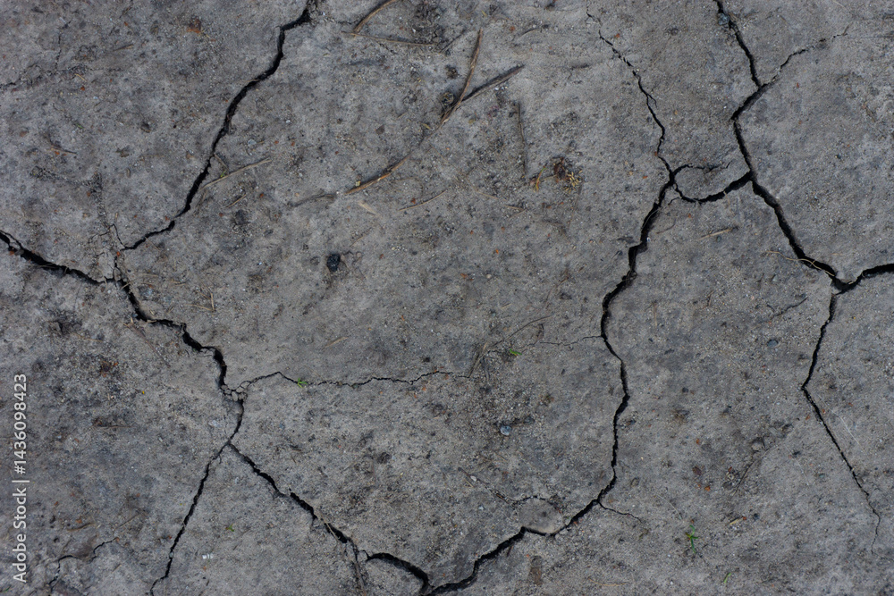 Fototapeta premium cracked soil texture