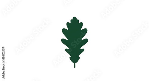 Dark Green Single Oak Leaf Silhouette on White