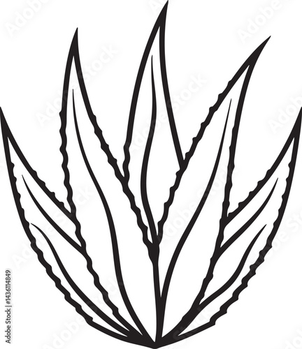 aloe vera leaves line art, black outline, vector and illustration, coloring book page line art drawing