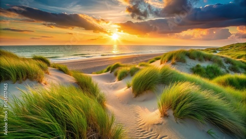 Fototapeta Naklejka Na Ścianę i Meble -  Sand dunes with lush grass on a beach at sunset, serene atmosphere, green grass,  serene atmosphere