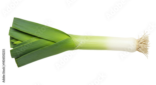A vibrant leek Green leaves blend into a white bulb with roots against a black background