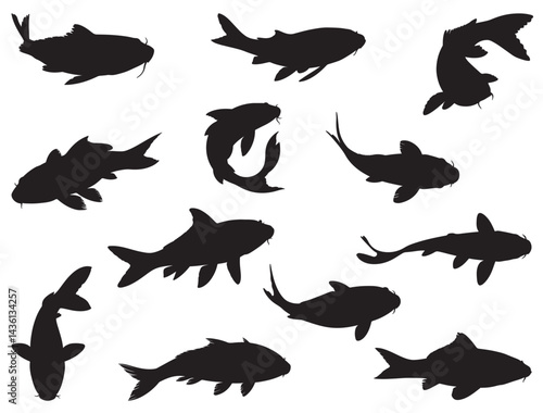  KOI FISH SILHOUETT WHITE BACKGROUND