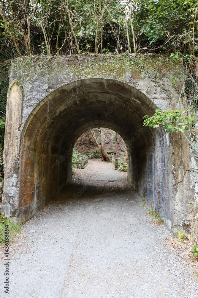Obraz premium Old stone tunnel n Minoh forest
