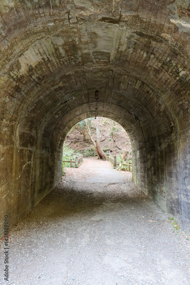 Fototapeta premium Tunnel in the forest of Minoh national park