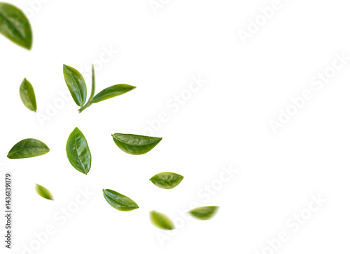 Green tea leaves flying in the air isolated on background.
