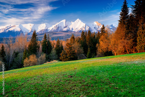 Fototapeta Naklejka Na Ścianę i Meble -  View of the Bielskie Tatras. Łapszanka, Podhale, Poland, green fields and snowy mountain peaks. Golden hour in the countryside with a beautiful view of the mountains.

